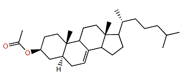 5a-Cholest-7-en-3b-yl acetate